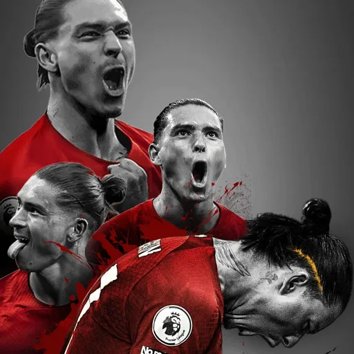 creator Robbie Murdoch's avatar