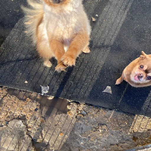 creator Sienna slays's avatar