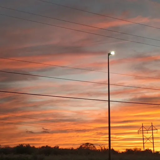 creator SoulFarmer's avatar