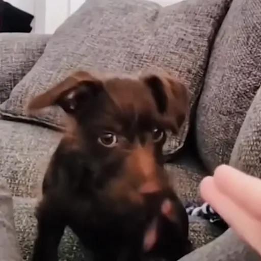 creator JAY2FYE's avatar