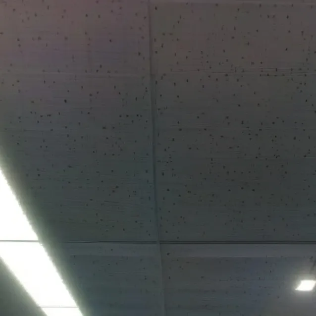 chat with ai character: Abandoned Office