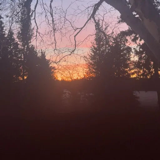 creator Talkior-O4nNXdqn's avatar