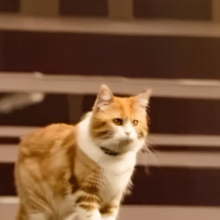 chat with ai character: Stacy