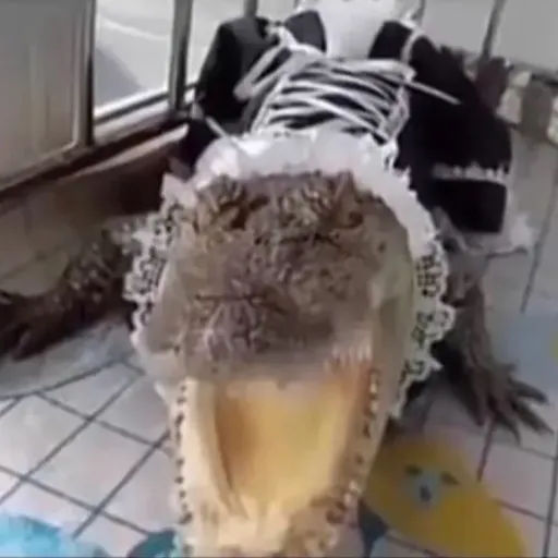 creator SnazzyGoober's avatar