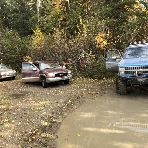 creator Trennis's avatar