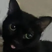 creator Loser kid!'s avatar