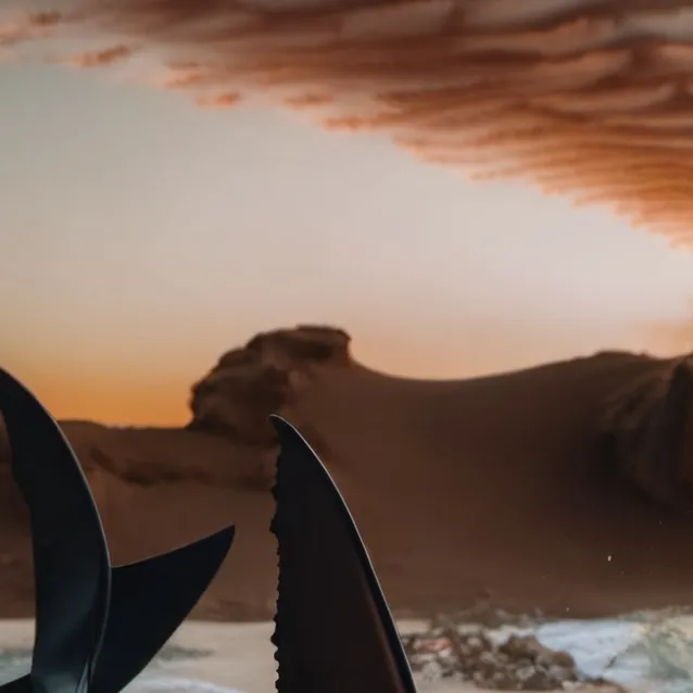 chat with ai character: Shark