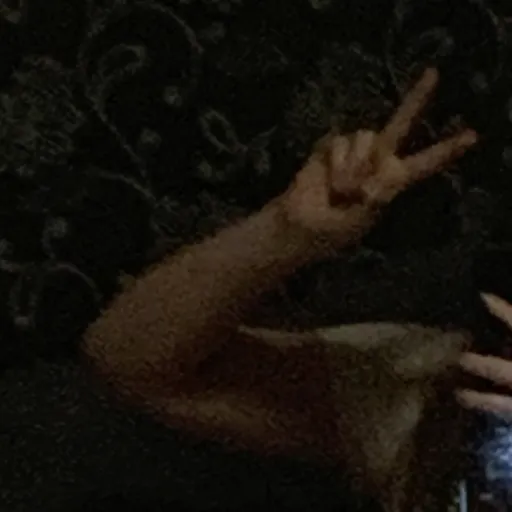 creator Em_LB's avatar