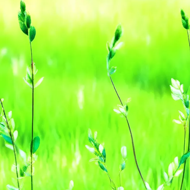 chat with ai character: Go touch Grass