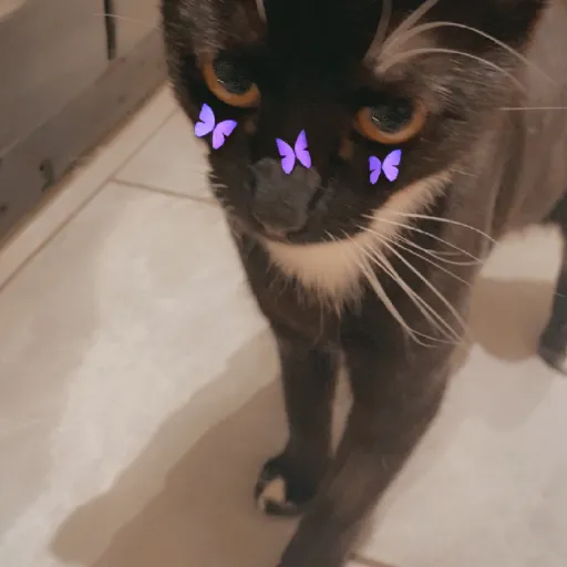 creator Ruexx's avatar