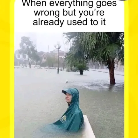 creator Kitty~<3's avatar