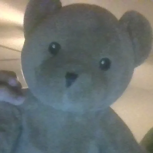 creator teddy bear fan's avatar