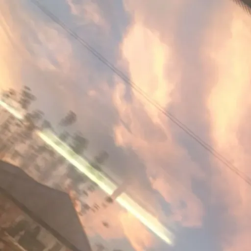 creator Nora23112007's avatar