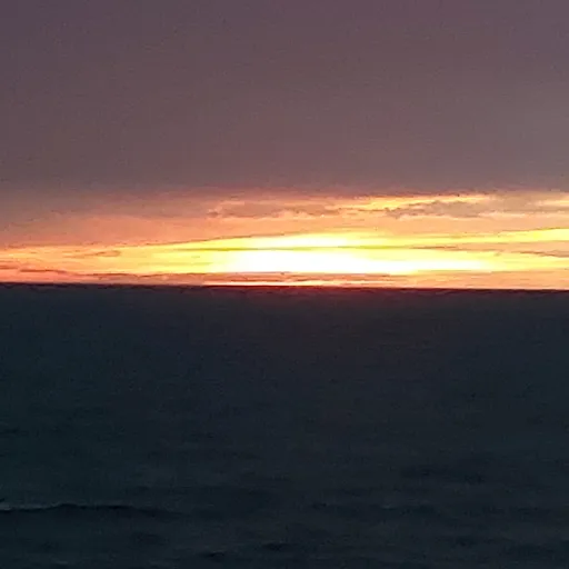 creator wase_dolphin176's avatar