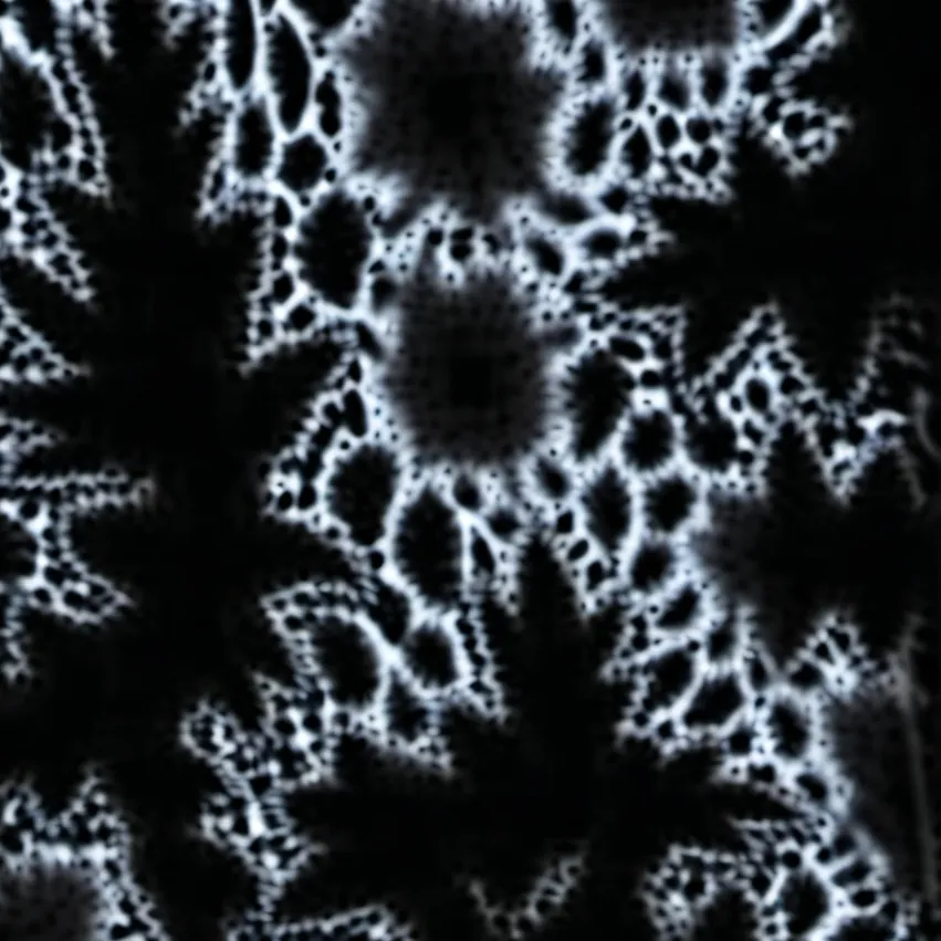 chat with ai character: Angler (pressure)