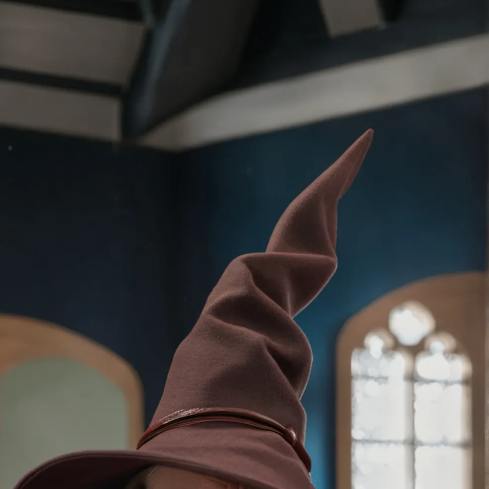 chat with ai character: The sorting hat