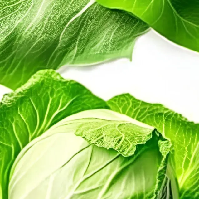 chat with ai character: Cabbage