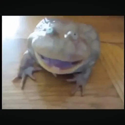 creator OfficialGaming's avatar