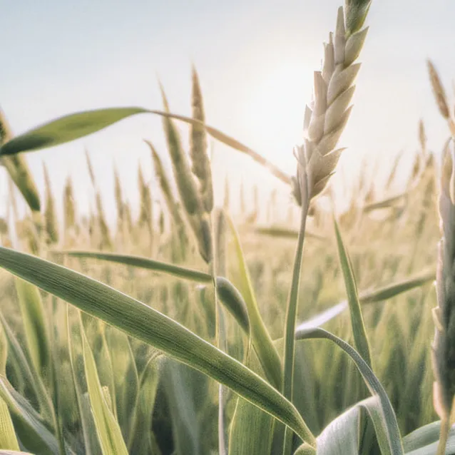 chat with ai character: grass