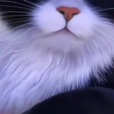 chat with ai character: Poppy