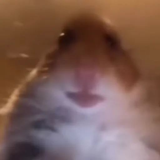 creator Rose Jfk's avatar