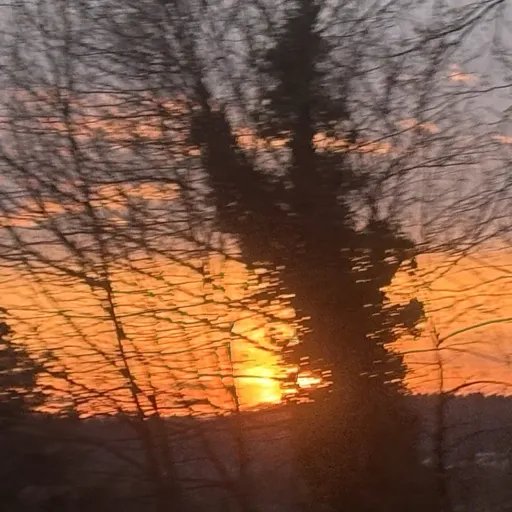 creator OBX BIGGEST FAN's avatar