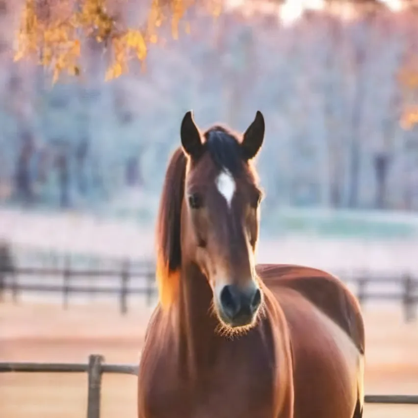 chat with ai character: Beauty 