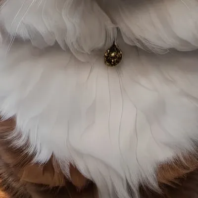 chat with ai character: | Ginger’Sun |