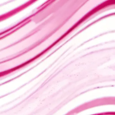 chat with ai character: Girl test ᥫ᭡