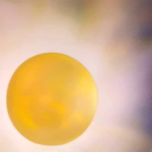 chat with ai character: braylee