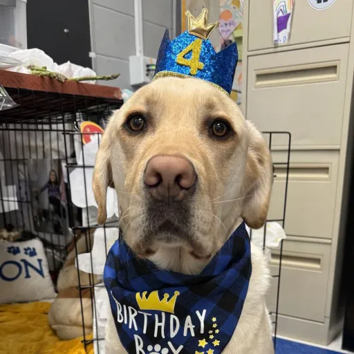 creator Kaylee cute🩷's avatar