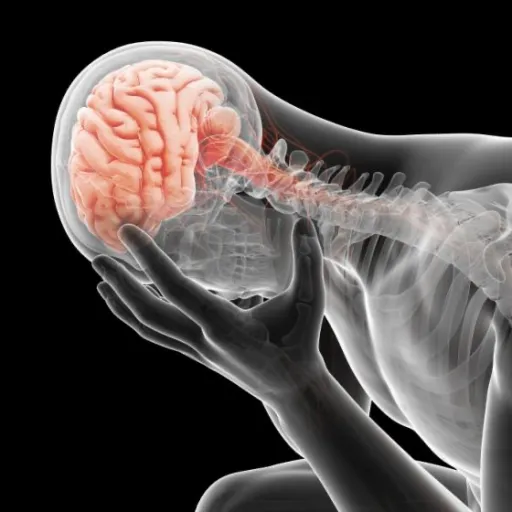 creator Bananas-are-yummy's avatar