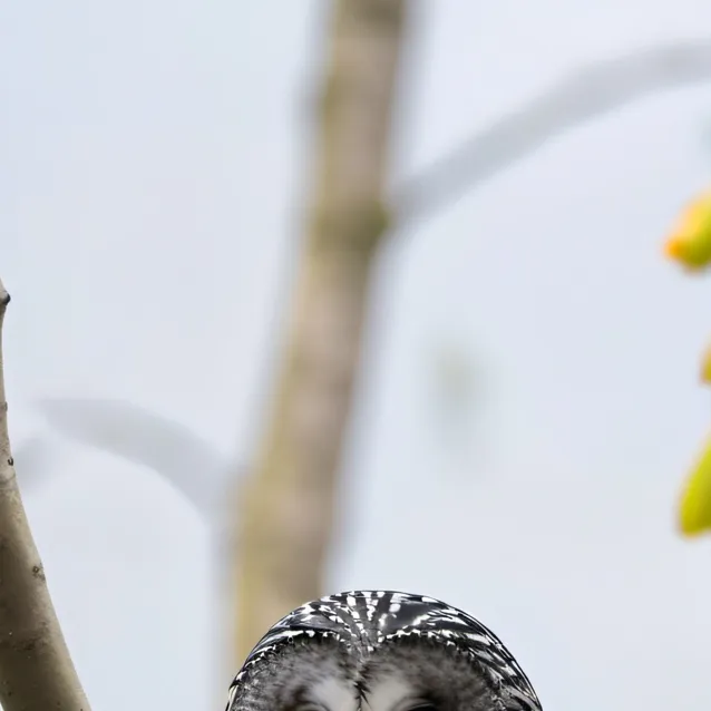 chat with ai character: Riley 