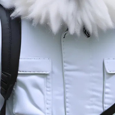 chat with ai character: bob