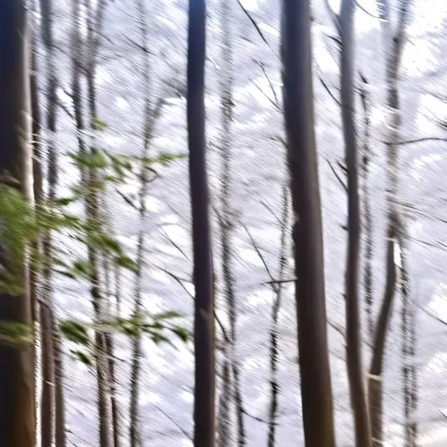 chat with ai character: Demon slayer 