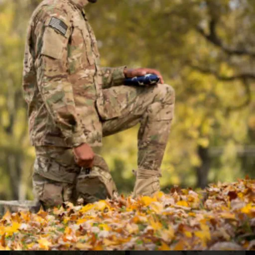 creator Lunar Nebula's avatar