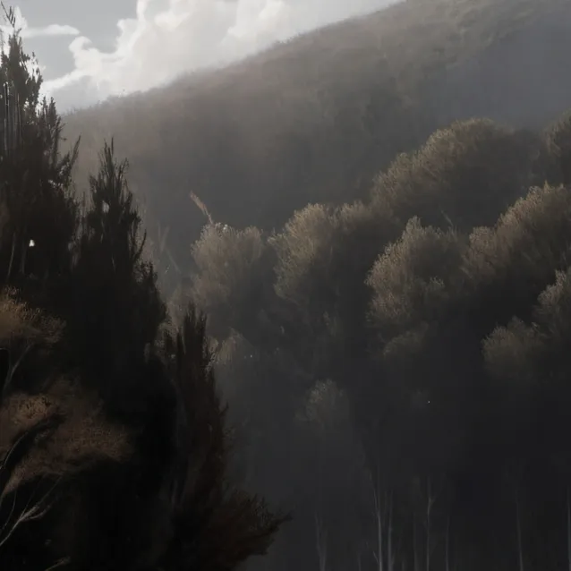 chat with ai character: Grass