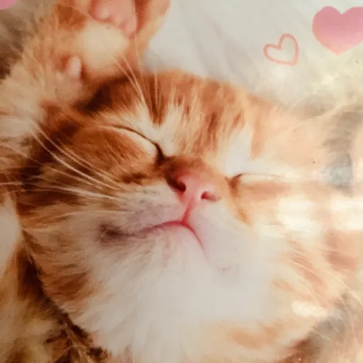 creator Call_Me_Kat:3's avatar