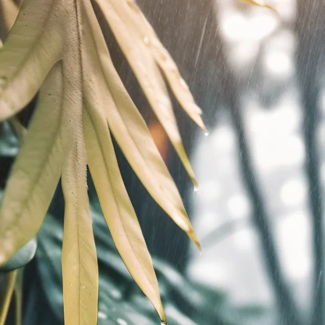 chat with ai character: ×HH camping!×