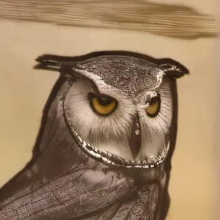 chat with ai character: Draco Malfoy