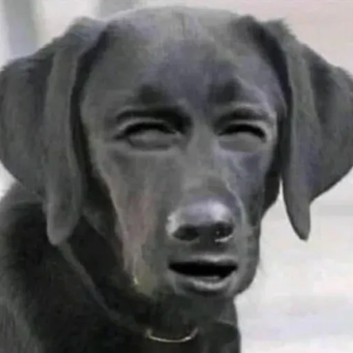 creator ThyDarkArts's avatar