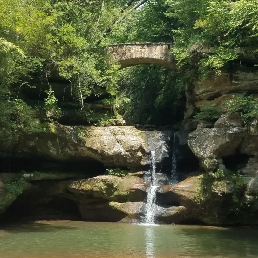 creator ☆TH4T<1>FR13ND☆'s avatar