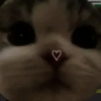 creator ~kai_the1~'s avatar