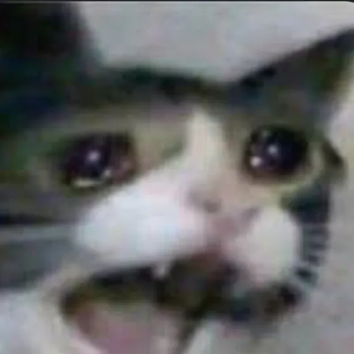 creator Moxxie cater's avatar