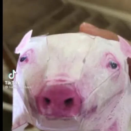 creator Ezzzy's avatar