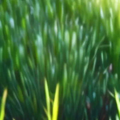 chat with ai character: Grass