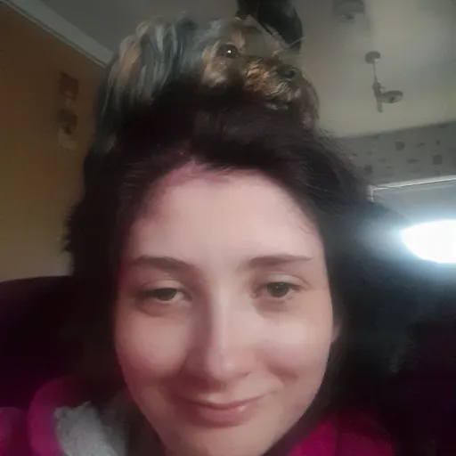 talkie's author avatar