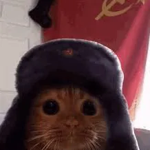 creator Russiancat's avatar