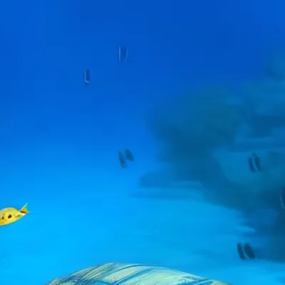 chat with ai character: Morgan