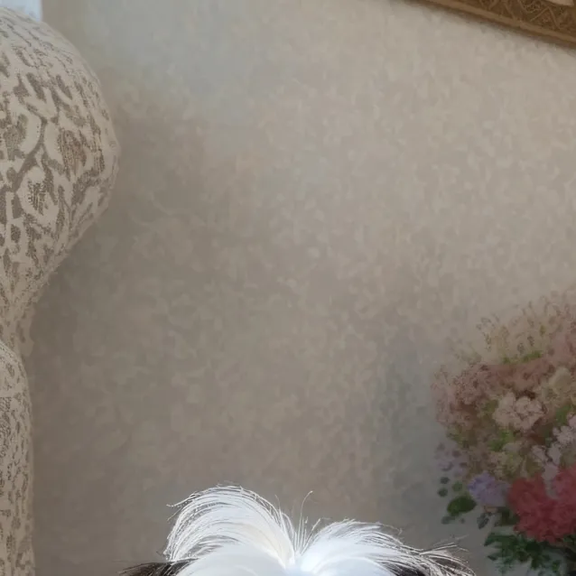 chat with ai character: Princess Molly